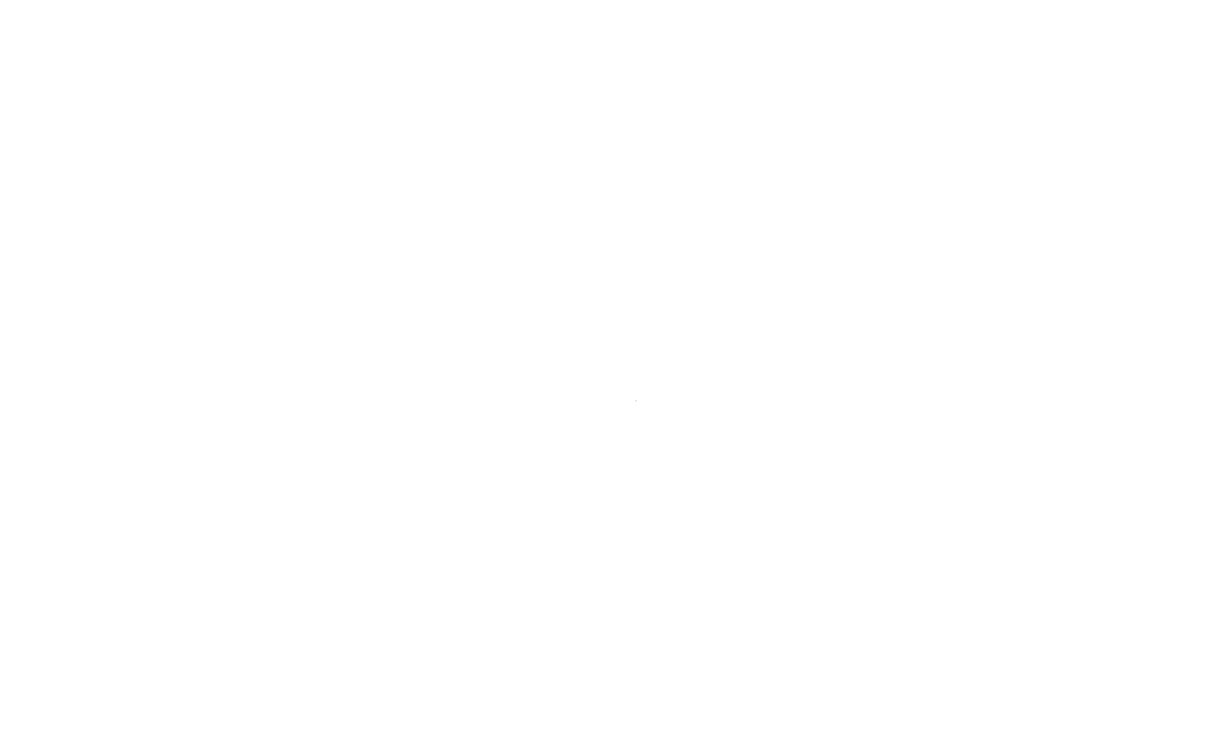 Natsec Holding